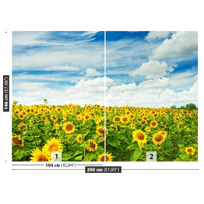 Papier peint Un champ de tournesols