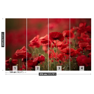 Papier peint photo Fleurs de pavot