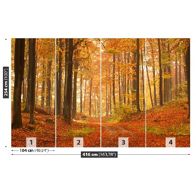 Papier peint photo Forêt en automne