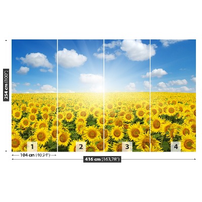 Papier peint Champs de tournesols