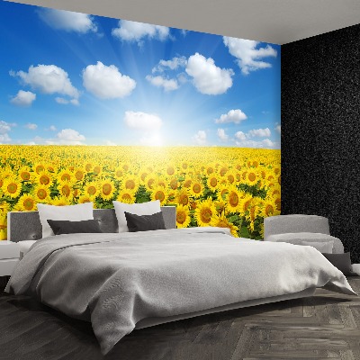 Papier peint Champs de tournesols