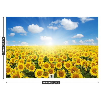 Papier peint Champs de tournesols