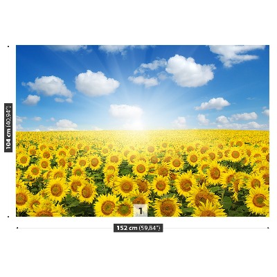 Papier peint Champs de tournesols