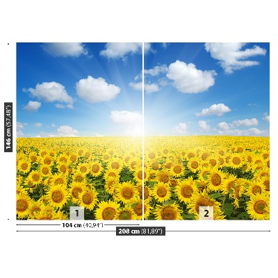 Papier peint Champs de tournesols