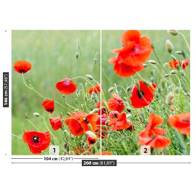 Papier peint photo Champ de coquelicots