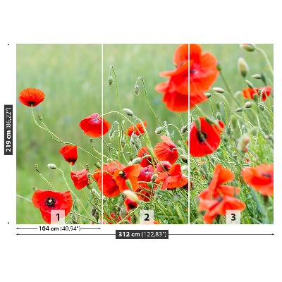 Papier peint photo Champ de coquelicots