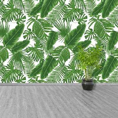 Papier peint decoratif Feuilles tropicales