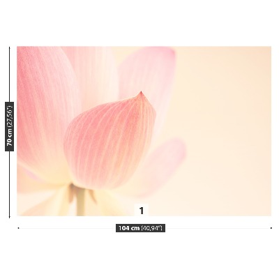 Papier peint photo Lotus rose