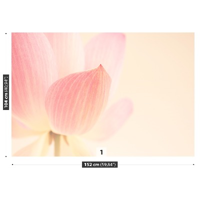 Papier peint photo Lotus rose