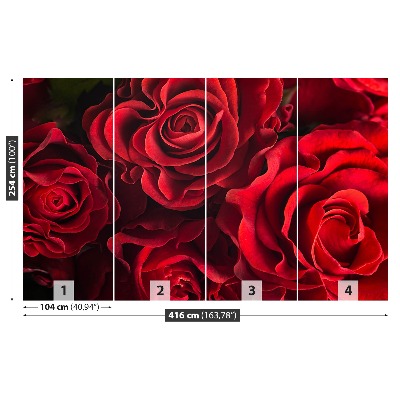 Papier peint photo Roses rouges