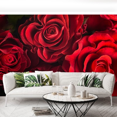 Papier peint photo Roses rouges