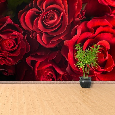 Papier peint photo Roses rouges