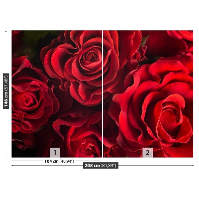 Papier peint photo Roses rouges