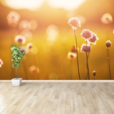 Papier peint photo Fleurs roses