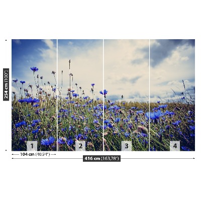 Papier peint photo Cornflowers