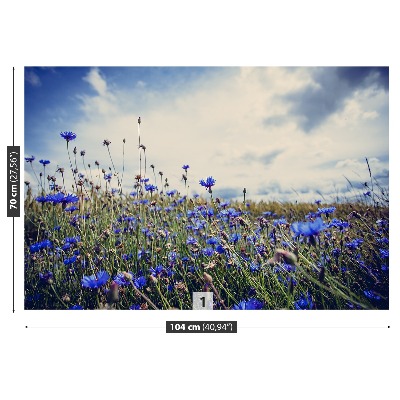 Papier peint photo Cornflowers