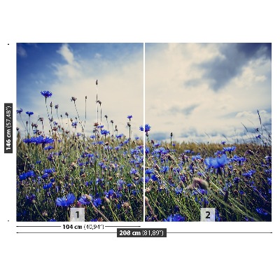 Papier peint photo Cornflowers