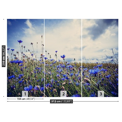 Papier peint photo Cornflowers