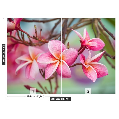 Papier peint photo Rose frangipani