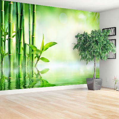 Papier peint photo Bambou eau