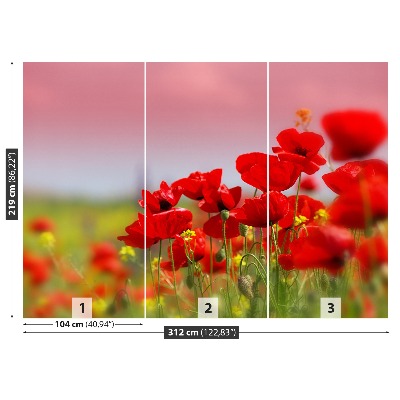 Papier peint photo Champ de coquelicots