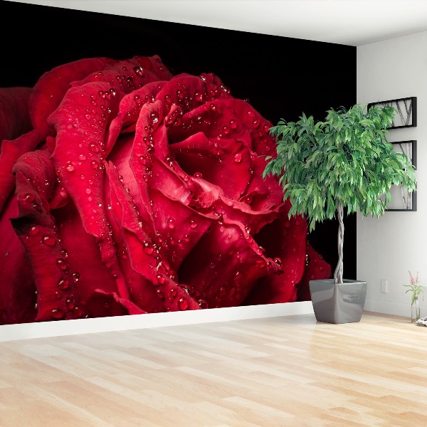 Papier peint decoratif Rose rouge