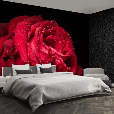 Papier peint decoratif Rose rouge