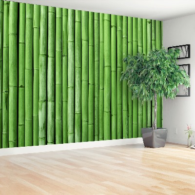 Papier peint decoratif Bamboo green