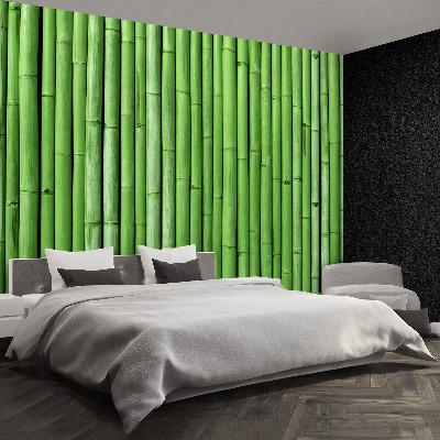 Papier peint decoratif Bamboo green