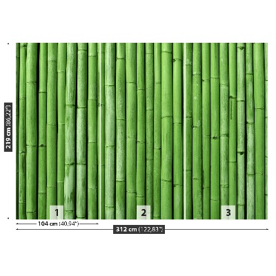 Papier peint decoratif Bamboo green