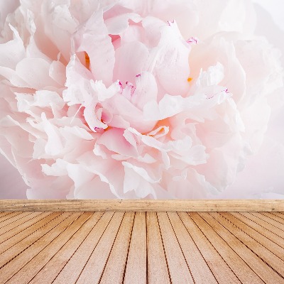 Papier peint decoratif Rose pivoine