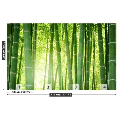 Papier peint Foret de bambou