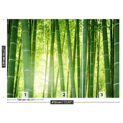 Papier peint Foret de bambou