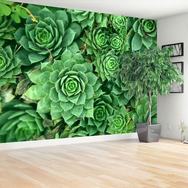 Papier peint decoratif Sedum vert