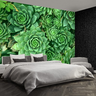 Papier peint decoratif Sedum vert