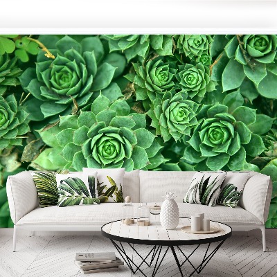 Papier peint decoratif Sedum vert