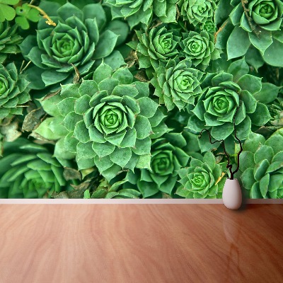 Papier peint decoratif Sedum vert