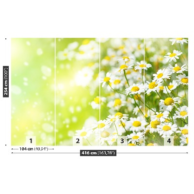 Papier peint decoratif Camomille
