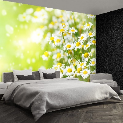 Papier peint decoratif Camomille