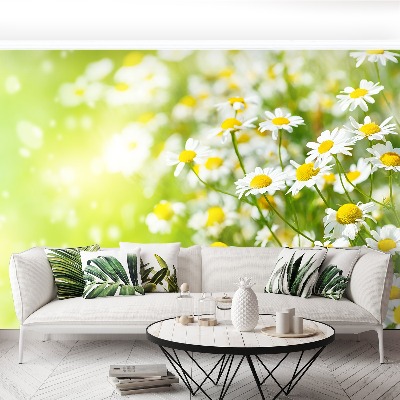Papier peint decoratif Camomille