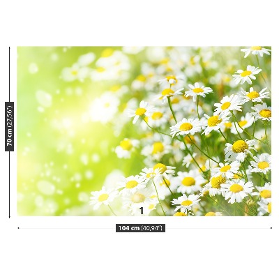 Papier peint decoratif Camomille