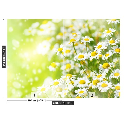 Papier peint decoratif Camomille