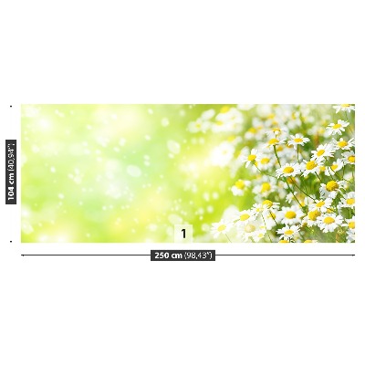 Papier peint decoratif Camomille