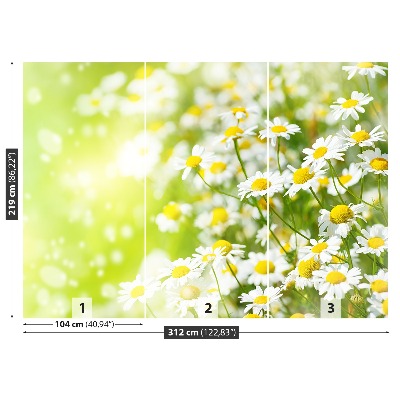 Papier peint decoratif Camomille