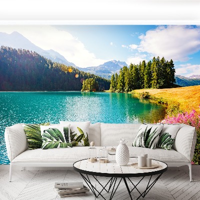 Papier peint photo Alpes suisses