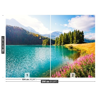 Papier peint photo Alpes suisses
