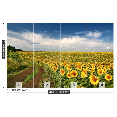 Papier peint photo Champ de tournesols