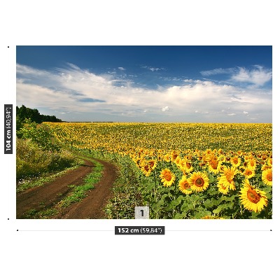 Papier peint photo Champ de tournesols