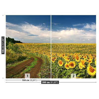 Papier peint photo Champ de tournesols