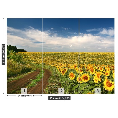 Papier peint photo Champ de tournesols